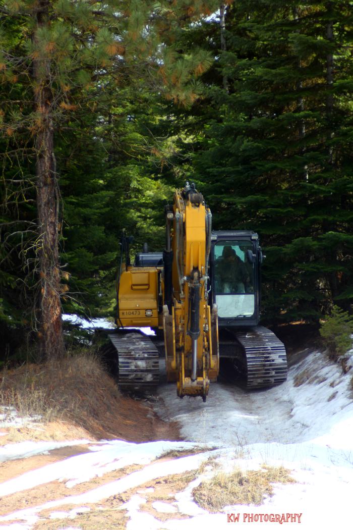 [Thumbnail for IMG_4552new.jpg]