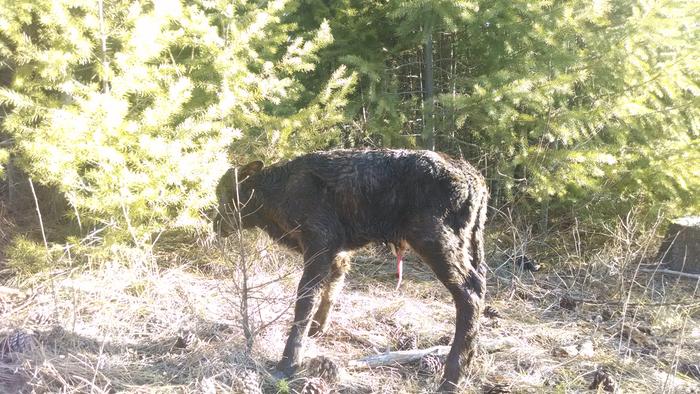 [Thumbnail for IMG_20140403_085111051.jpg]