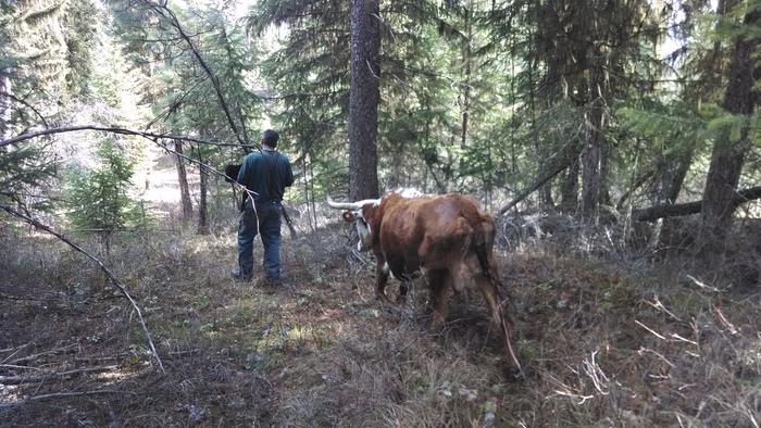 [Thumbnail for IMG_20140405_102512513.jpg]