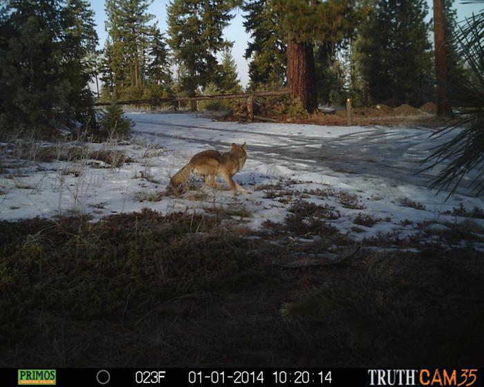 [Thumbnail for PRMS0026.JPG]