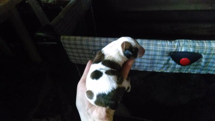 [Thumbnail for IMG_20140419_191048972.jpg]