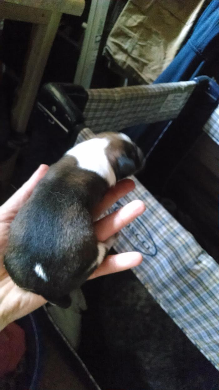 [Thumbnail for IMG_20140419_191113189.jpg]