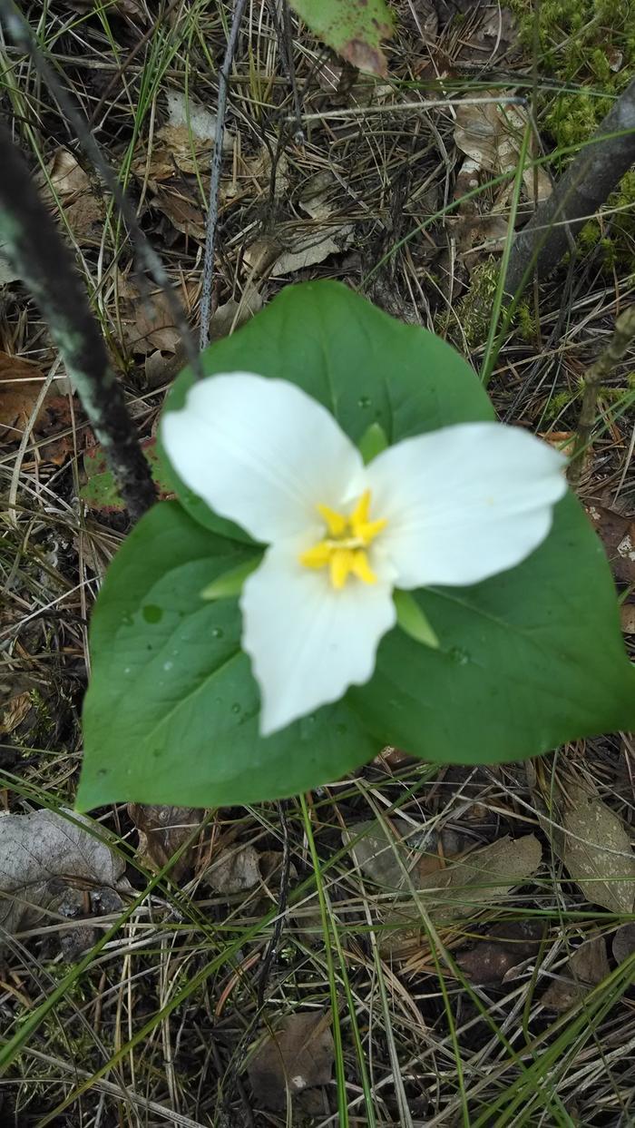 [Thumbnail for IMG_20140425_154046295.jpg]