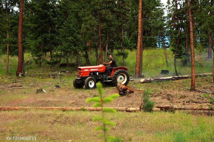 [Thumbnail for kubota-skidding-logs.jpg]