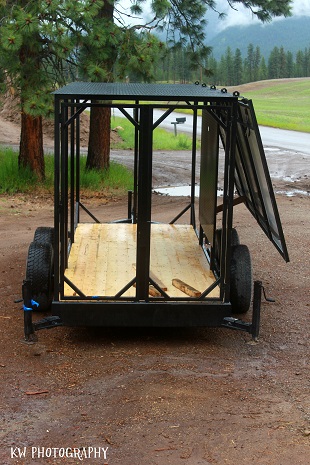 [Thumbnail for solar-leviathan.jpg]