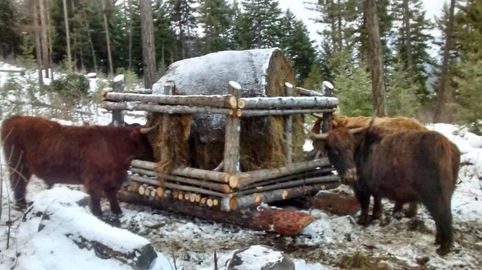 skiddable-hay-feeder