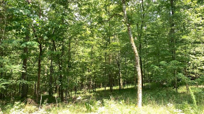 [Thumbnail for 09E5F72E-FFF0-4B21-ADF6-A9369EBDCF39_1_105_c.jpeg]