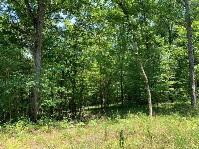 [Thumbnail for 10616C0C-B700-4183-A361-849A73B3D137_1_105_c.jpeg]