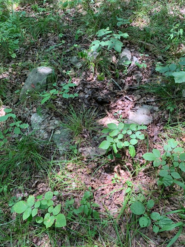 [Thumbnail for F39B43FC-7AC3-4694-AE35-228D45D603E6_1_105_c.jpeg]