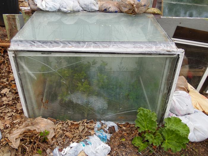 [Thumbnail for SAM_0566.JPG]