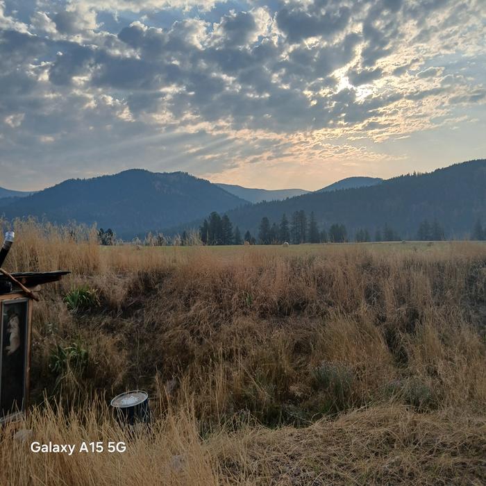 Golden Hour in Montana