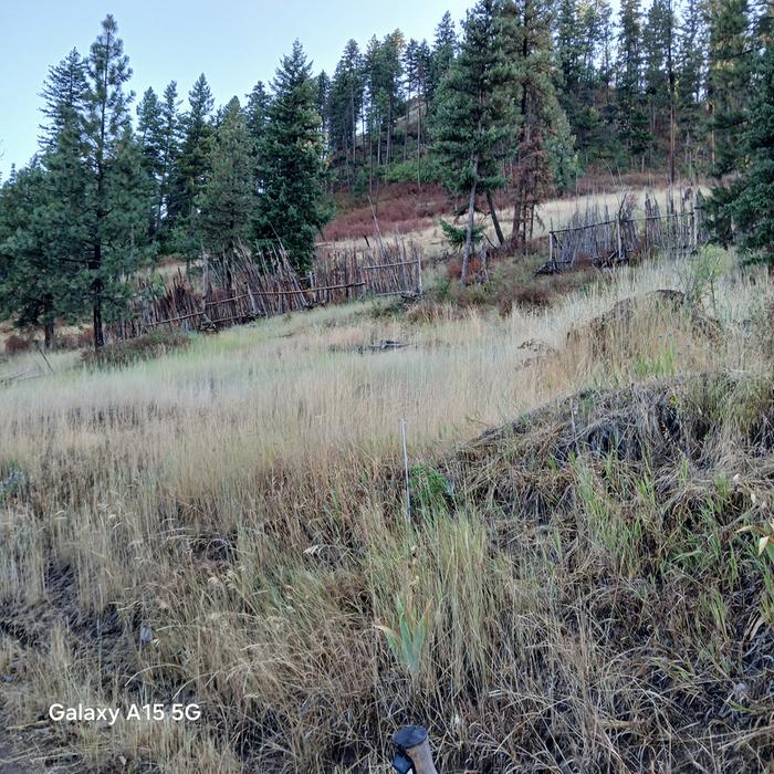 junkpole fences below the volcano at Wheaton Labs