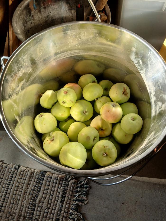 Apples from near FPH