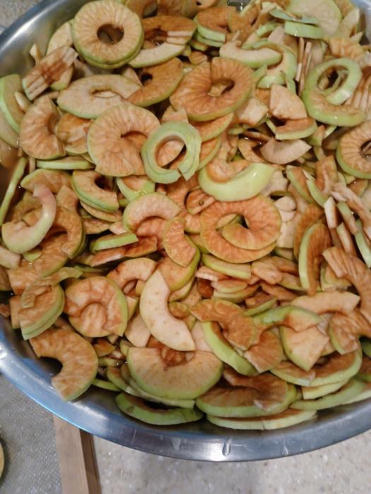 Apple slices being prepped for the dehydrator