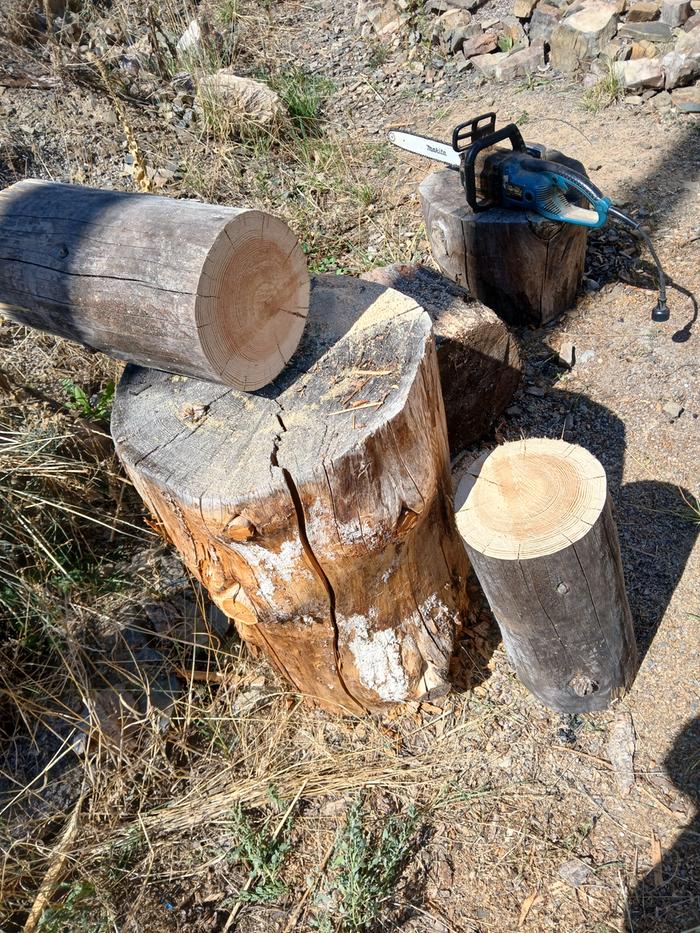 Cutting log rounds to size