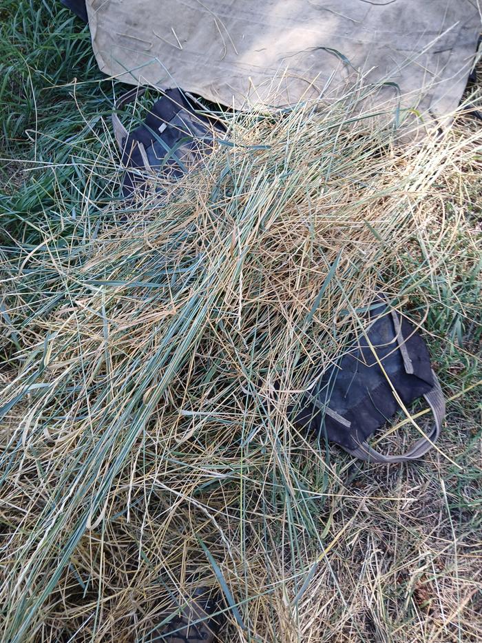 Chopped mulch on top of the carry bags