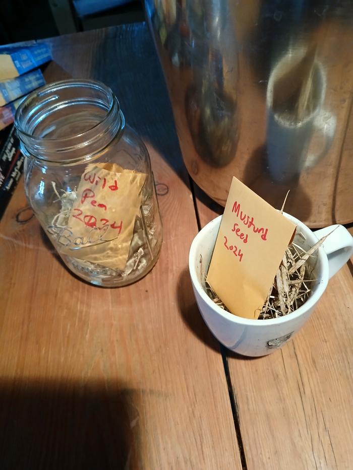 Mustard and wild pea seed that we were processing