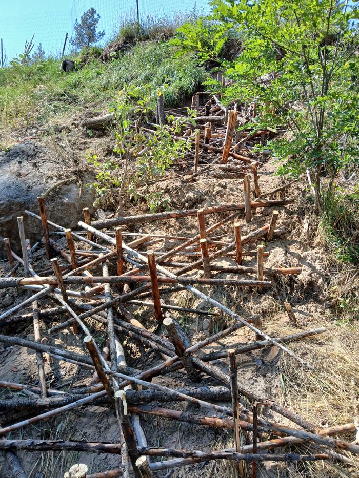 The latticework that Ben and Stephen put in place after the mudslide