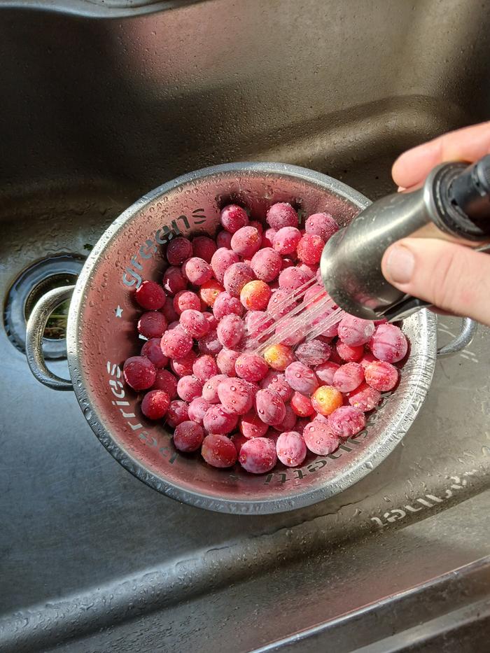 Rinsing the plums