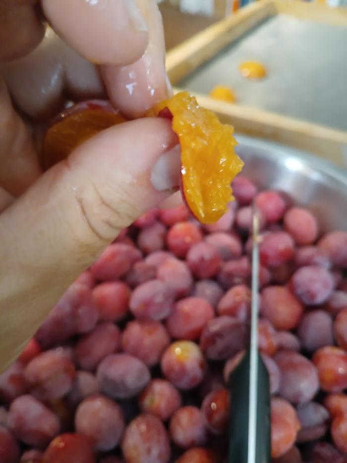 Processing the plums