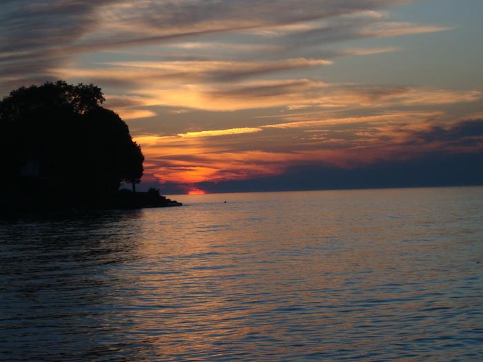 [Thumbnail for DSC06955.JPG]