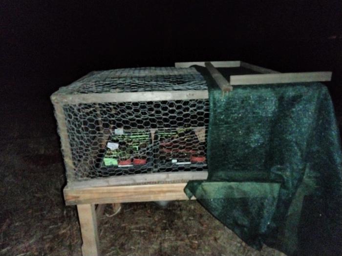 top on shade cloth on the west side for a few more days 