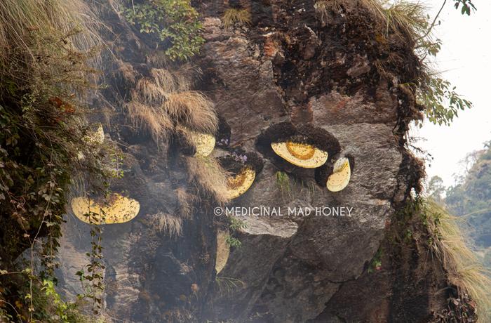 eyelid shaped open honeycombs on a cliff in Nepal