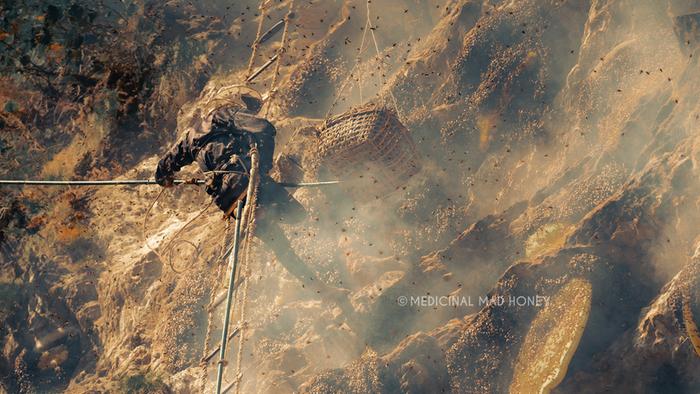 a honey hunter in Nepal on a rope ladder with a basket