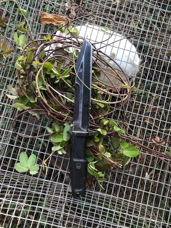 [Thumbnail for permiesakebiatestthree.png]