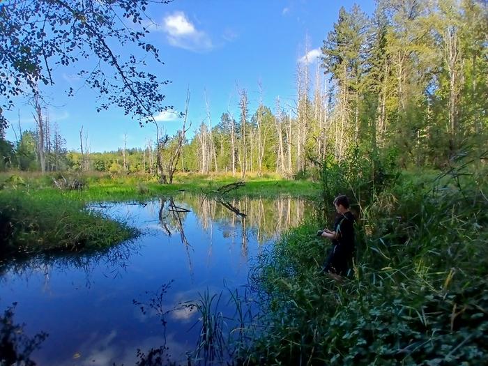 full pond