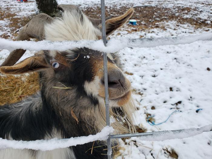 Kola says, "Heeey, there, pretty lady!"