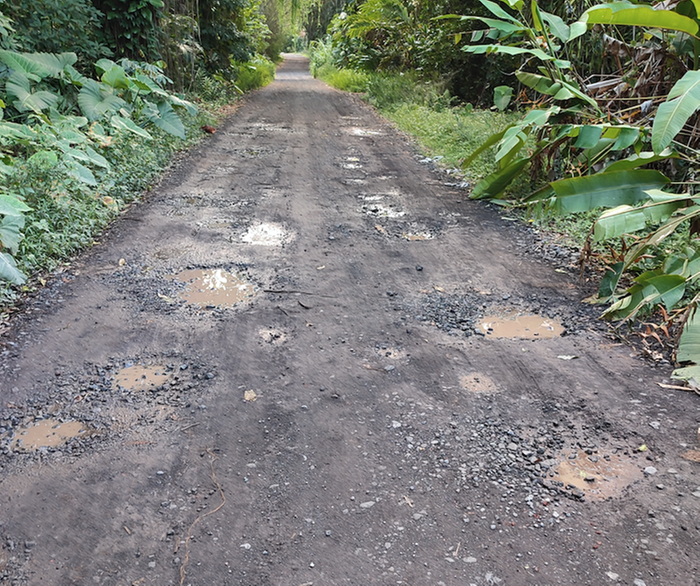 [Thumbnail for potholes1.png]