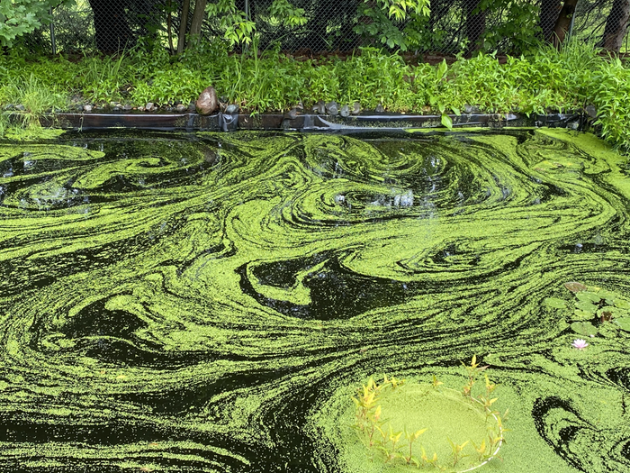 [Thumbnail for IMG_9783.png]