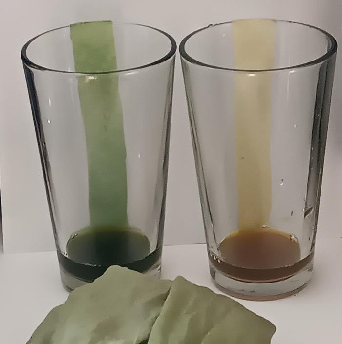 Goldenrod dye oxidized and reduced time 0