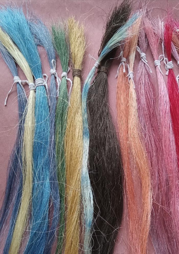 Blue yellow colorway