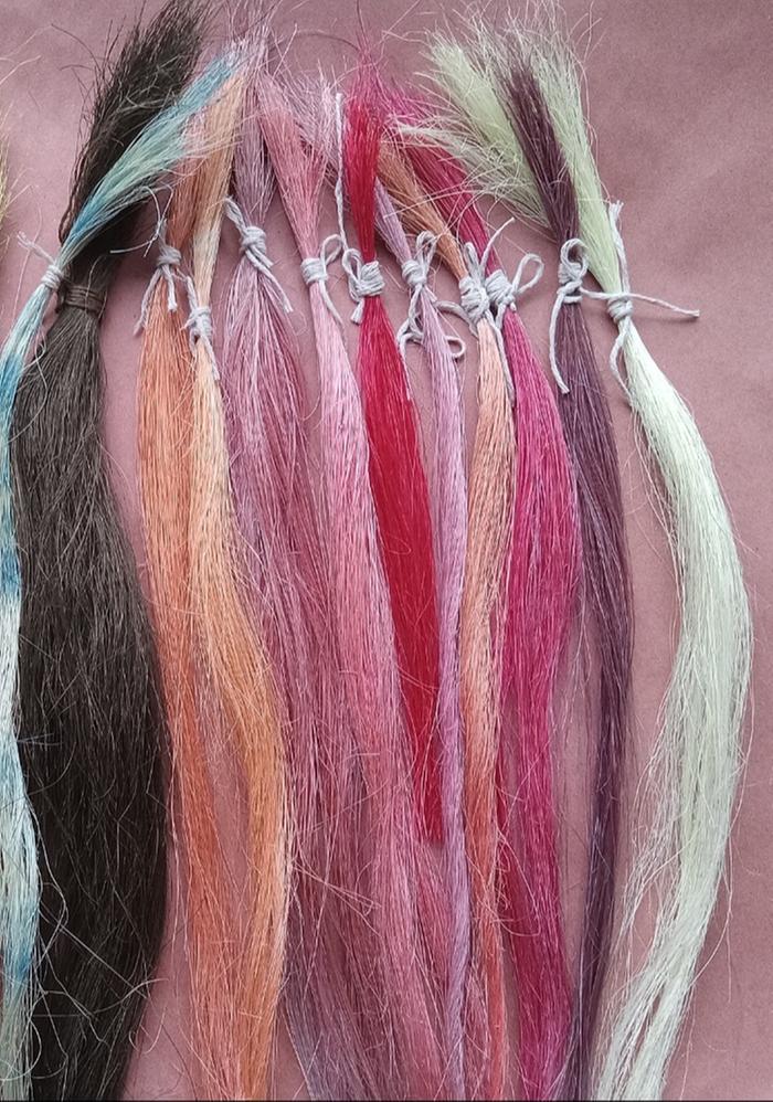 Red orange purple colorway