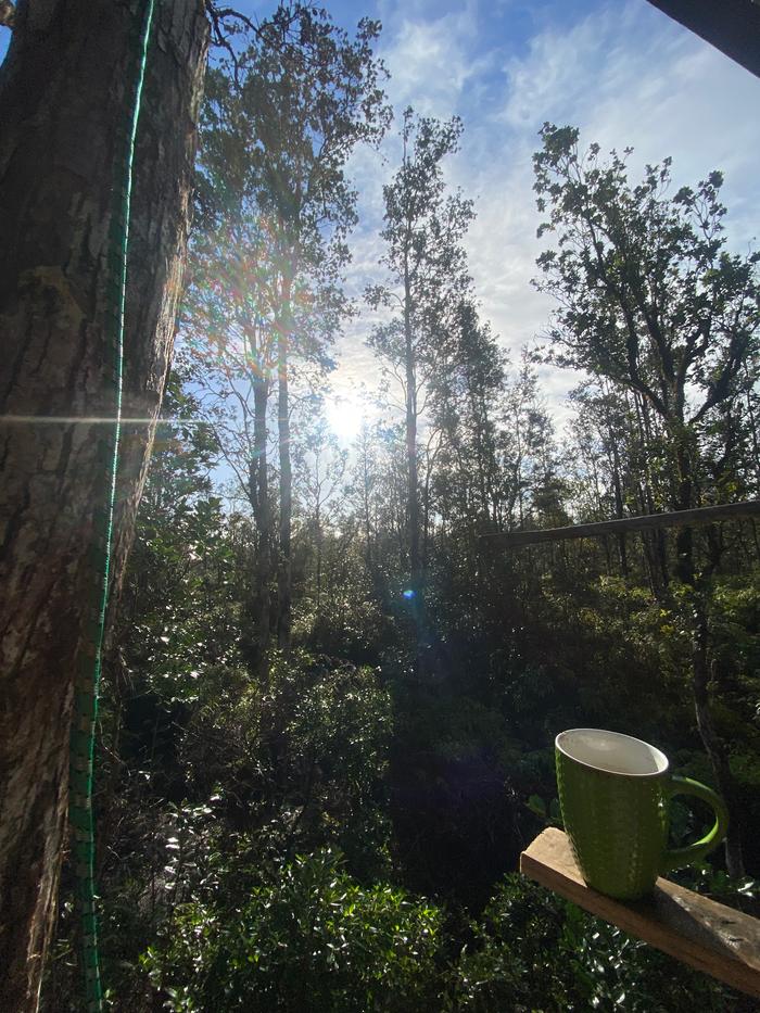 [Thumbnail for IMG_3055.jpeg]