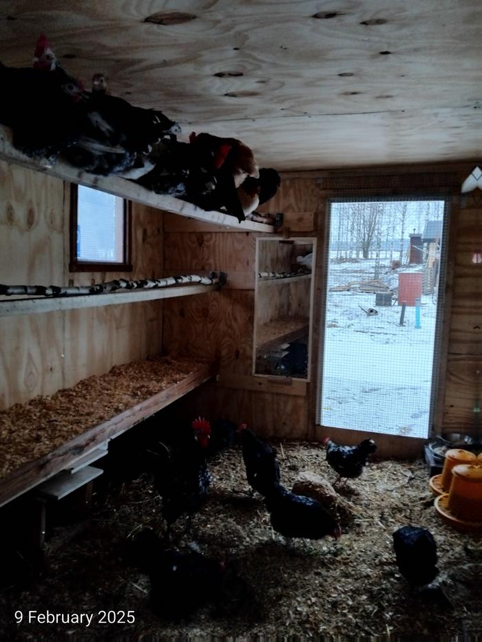 [Thumbnail for IMG_20250209_161128.jpg]