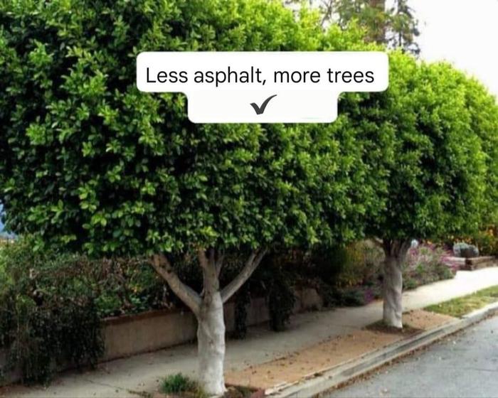 [Thumbnail for Less-Asphalt-more-trees.jpg]