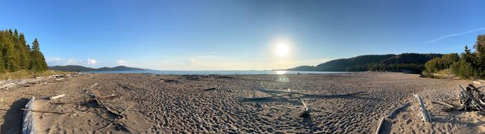 The beach 