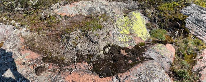 Textures