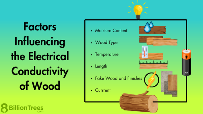 [Thumbnail for Factors-Influencing-the-Electrical-Conductivity-of-Wood.png]