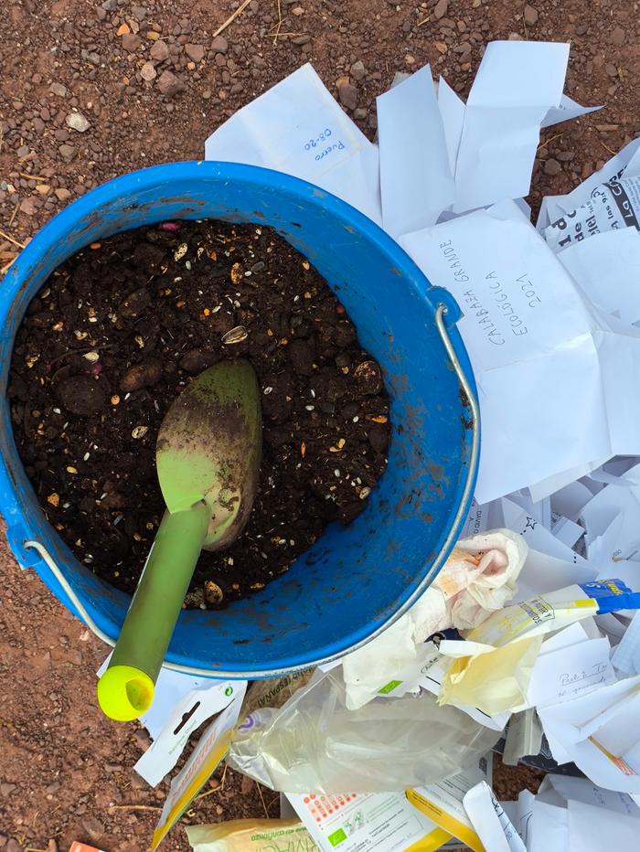 Old seeds mixed with compost