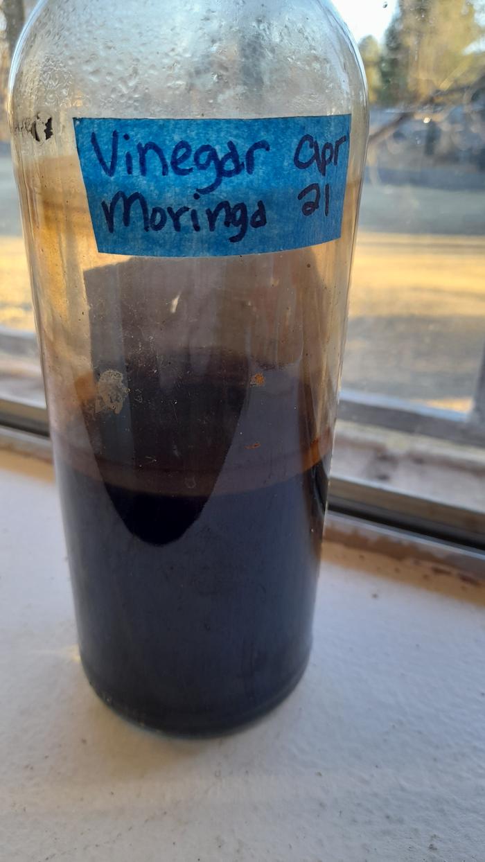 bottle of homemade moringa vinegar