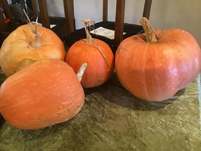 Big boy carving pumpkins