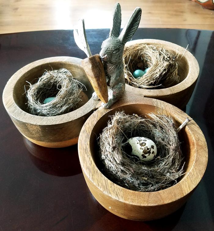 Abandoned bird's nests, abandoned eggshells, wood bowl that was a gift