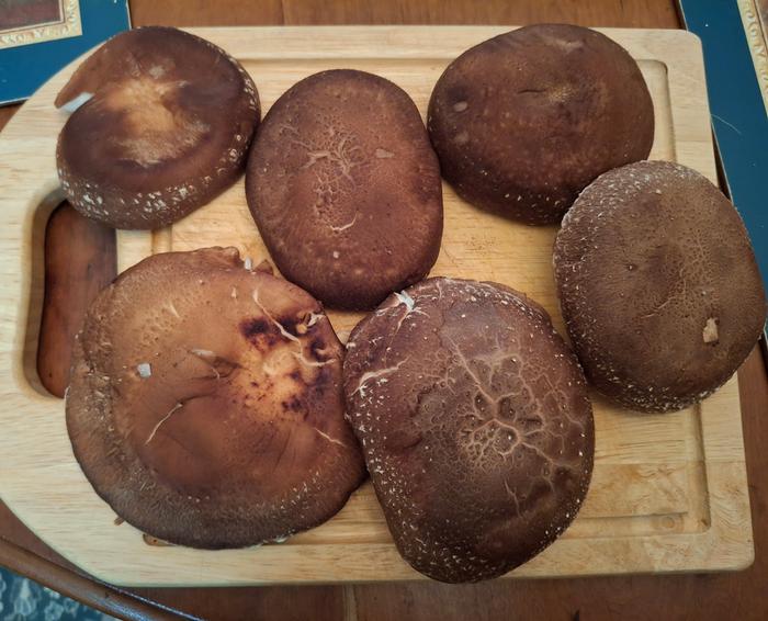 Last nights mushrooms