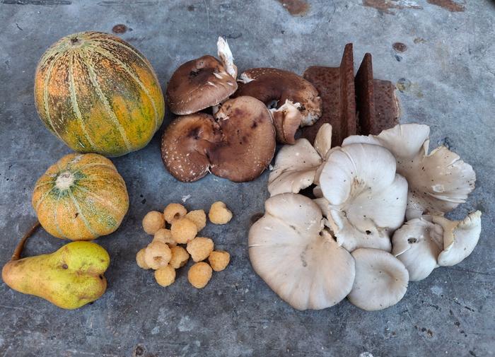 today's garden haul