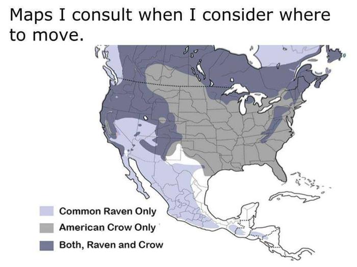 Where crows and ravens live in North America