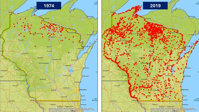 Change in Wisconsin occupied bald eagle nests attributed to passage of the Clean Water Act